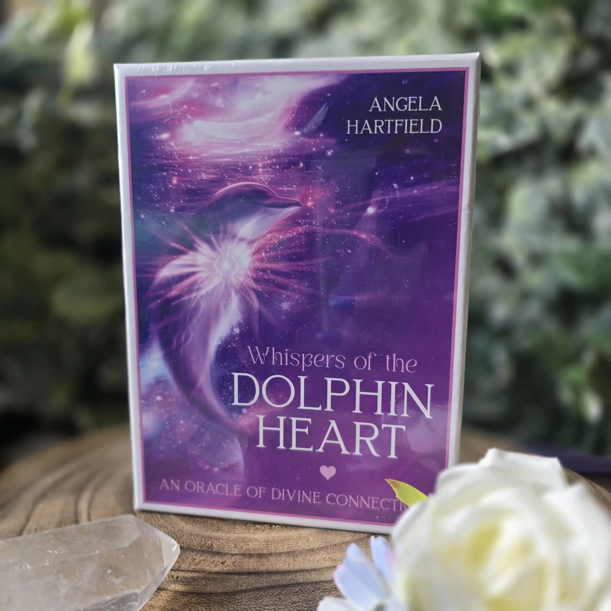 Whispers of the Dolphin Heart Cards