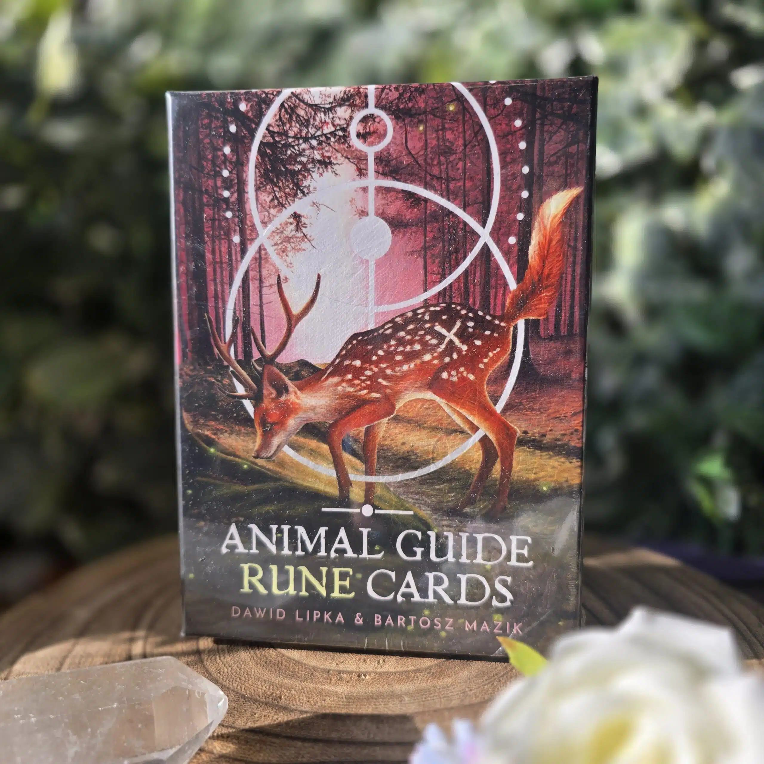 animal rune cards